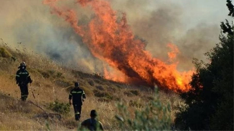 Πυρκαγιά σε δασική έκταση στη Σμίξη Γρεβενών